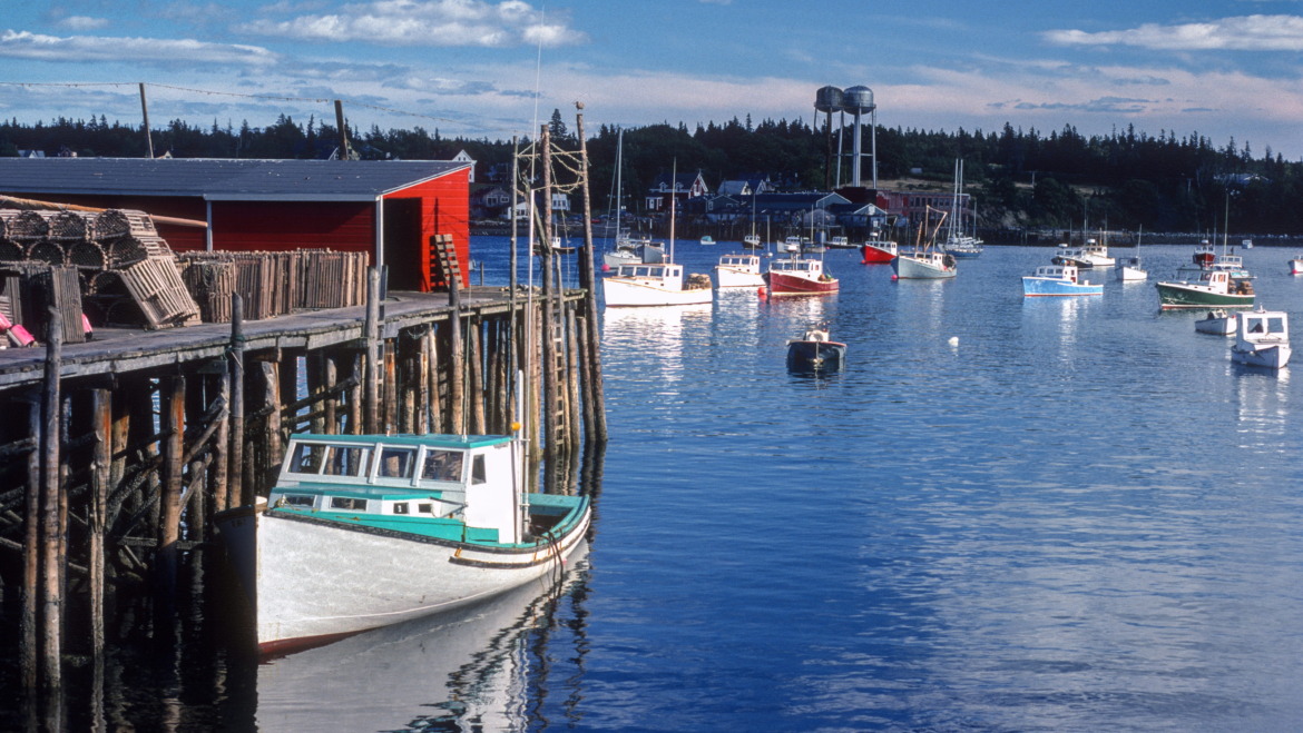 Short Documentary Film – Rising Tides